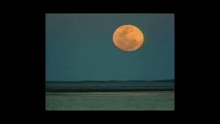 clams casino ft. asap rocky type beat *2025* | prodbyjaye