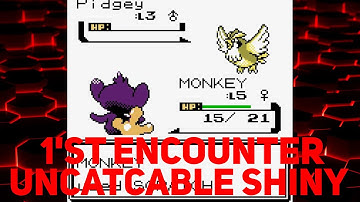 First encounter uncatchables shiny Pidgey.(Shiny Fail)