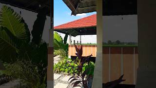 belitang 2 Juli 2026
