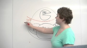 RNA interference video by Katie and Natasha