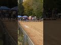 Biggest RC car drag race all at the same time