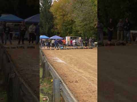 Biggest RC car drag race all at the same time
