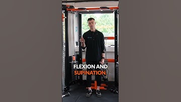 How to Properly Train Your Biceps