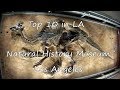 Natural History Museum LA Top 10 things to do in LA