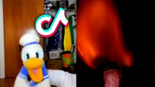 Donald Ducc tiktok compilation | Best Donald Ducc tiktok | Donald Duck tiktok by Saturn 170,485 views 2 years ago 10 minutes, 20 seconds