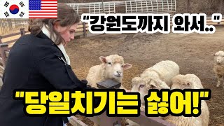 🇺🇸 [미국USA] 강원도 영월에서 첫 경험(?)을 한 미국 여자친구! (feat.마리 선생님) - US Girlfriend’s first time in Gangwon-do!