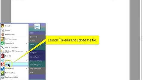 Running the Scan Data Report