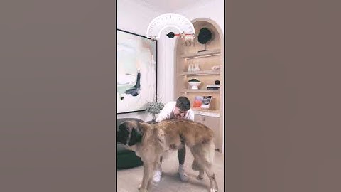 holding bigger and bigger dogs 🐶