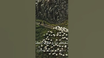 سورة المؤمنون بصوت القارء ياسر الدوسري #القرآن_الكريم #سورة_المؤمنون #ياسر_الدوسري #quran #quotes