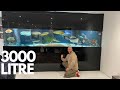 3000 litre huge aquarium