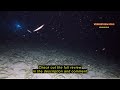 Review Movo DiveRig1 XL Diving Rig Bundle with Waterproof LED Lights - Compatible with GoPro Hero, H