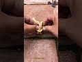 Simple and Effective Technique for Bundling Wood with Rope