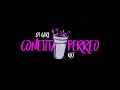CONEJITA + PERREO - RKT - DJ GERE