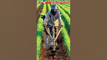 #trichoderma#fungus#farmer#wilt#damping#agriculture