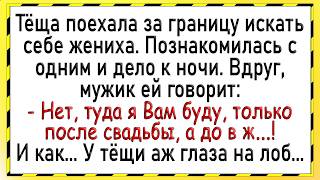 картинка: Как тёща за границей мужика искала! Сборник свежих анекдотов! Юмор!