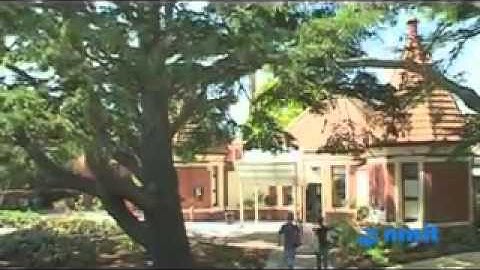 Melbourne Polytechnic Bachelor of Illustration