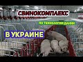 Мини Свинарник за Датскими технологиями часть 3