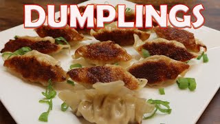 HOW TO MAKE DUMPLINGS | FRIED DUMPLINGS | JUICY DUMPLINGS RECIPE | COOKING WITH CLAIRE