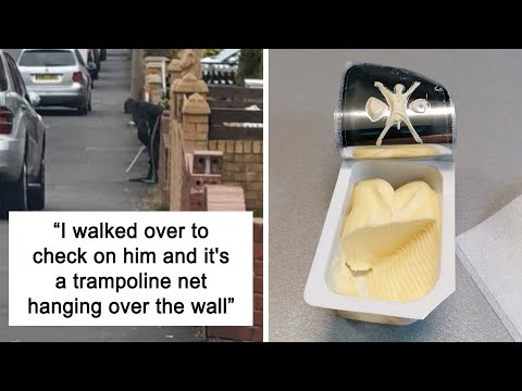 Times People Experienced A Serious Case Of Pareidolia