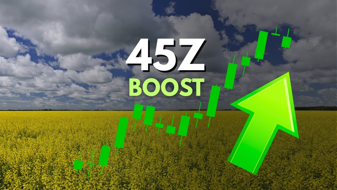 Почему цены на рапсовое и соевое масло резко вырастут в 2026 году (подробное объяснение)