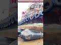 Schiff auf Land: Reparatur und WartungWie Experten die Seefahrt sicher machen