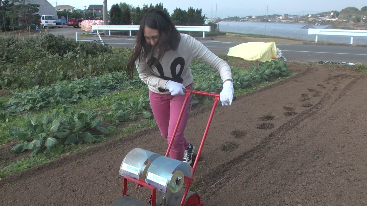 20161106 かぶの種まき/How to sow Turnip seeds YouTube