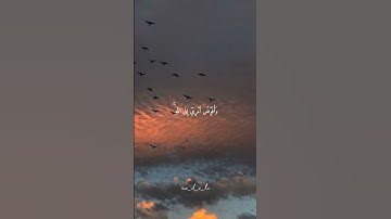 فَسَتَذْكُرُونَ مَا أَقُولُ لَكُمْ ۚ تلاوه بصوت الشيخ مشاري راشد العفاسي