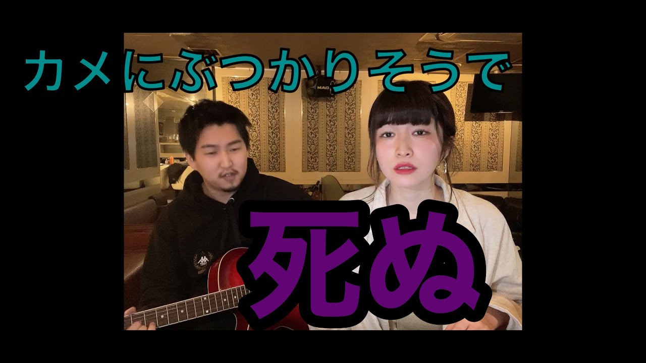 為になる雑学 マンボウの死因ランキング発表 Youtube