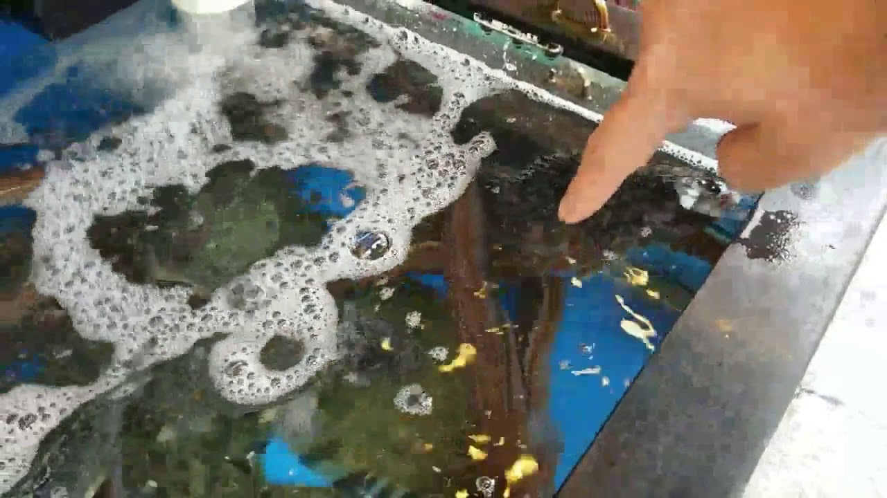 Asian Andy Saying N1gger