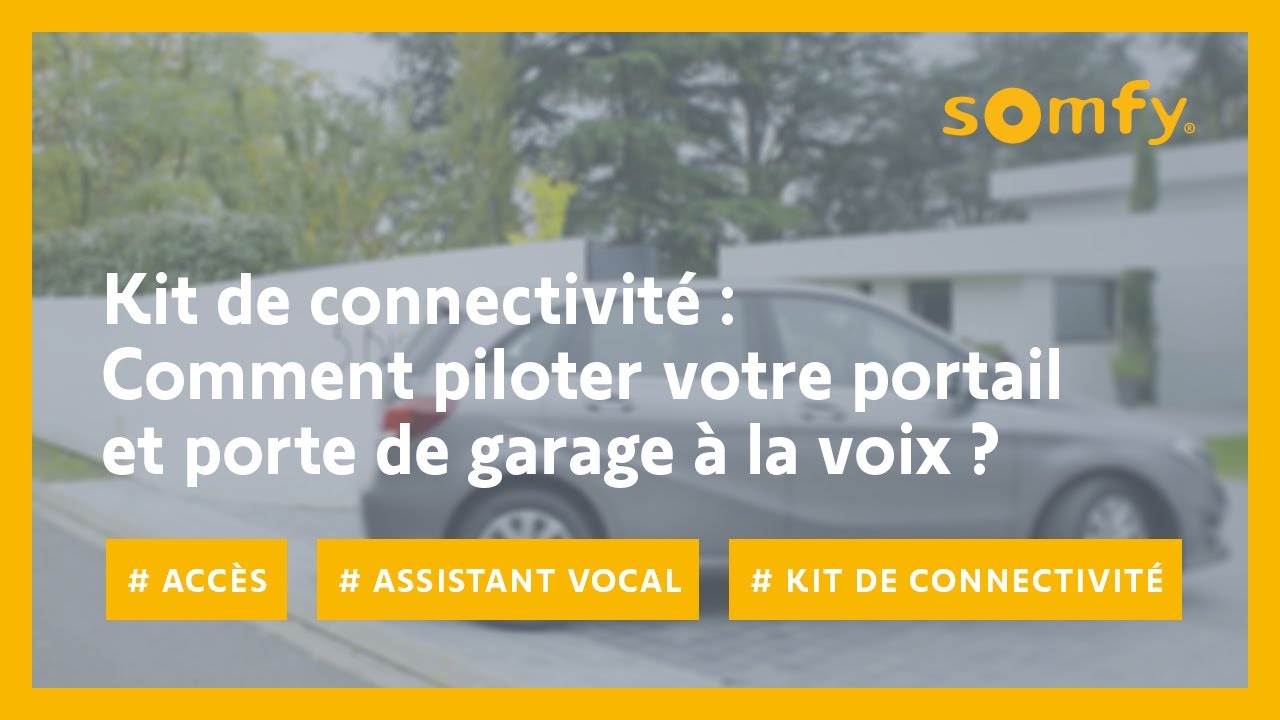 Somfy 1241960 - Motorisation Connectée à bras pour portail battant