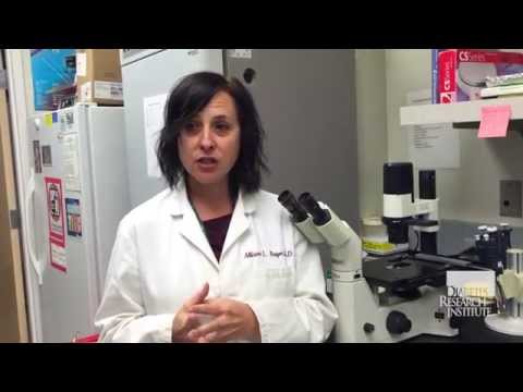 boosting-regulatory-t-cells-(tregs)-in-type-1-diabetes-patients---diabetes-research-institute