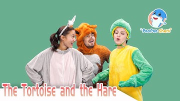 The Tortoise and the Hare | Paopao Shark Super Fun English Stories for Kids