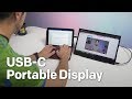 HP EliteDisplay S14 USB-C portable display review: Perfect for Surface Go