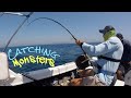 Catching MONSTERS of the DEEP BLUE SEA !! South Africa