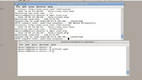 How to Stop a WGET Download : Computer Tips