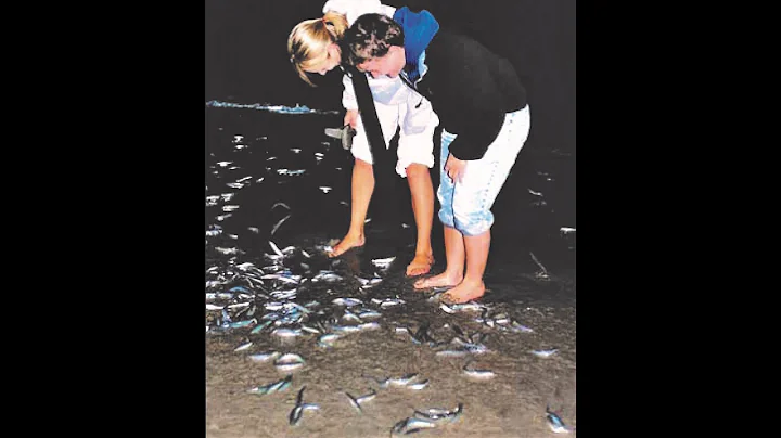 Grunion Greeting