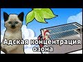 Влияние большой концентрации озона. Эксперименты.