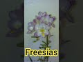 PLANTAS: FREESIAS