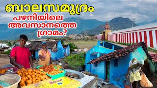 മലകൾ അതിർത്തി തീർക്കുന്ന പഴനിയിലെ ഒരു ഗ്രാമം | Balasamudram | Village in Palani, Tamil Nadu