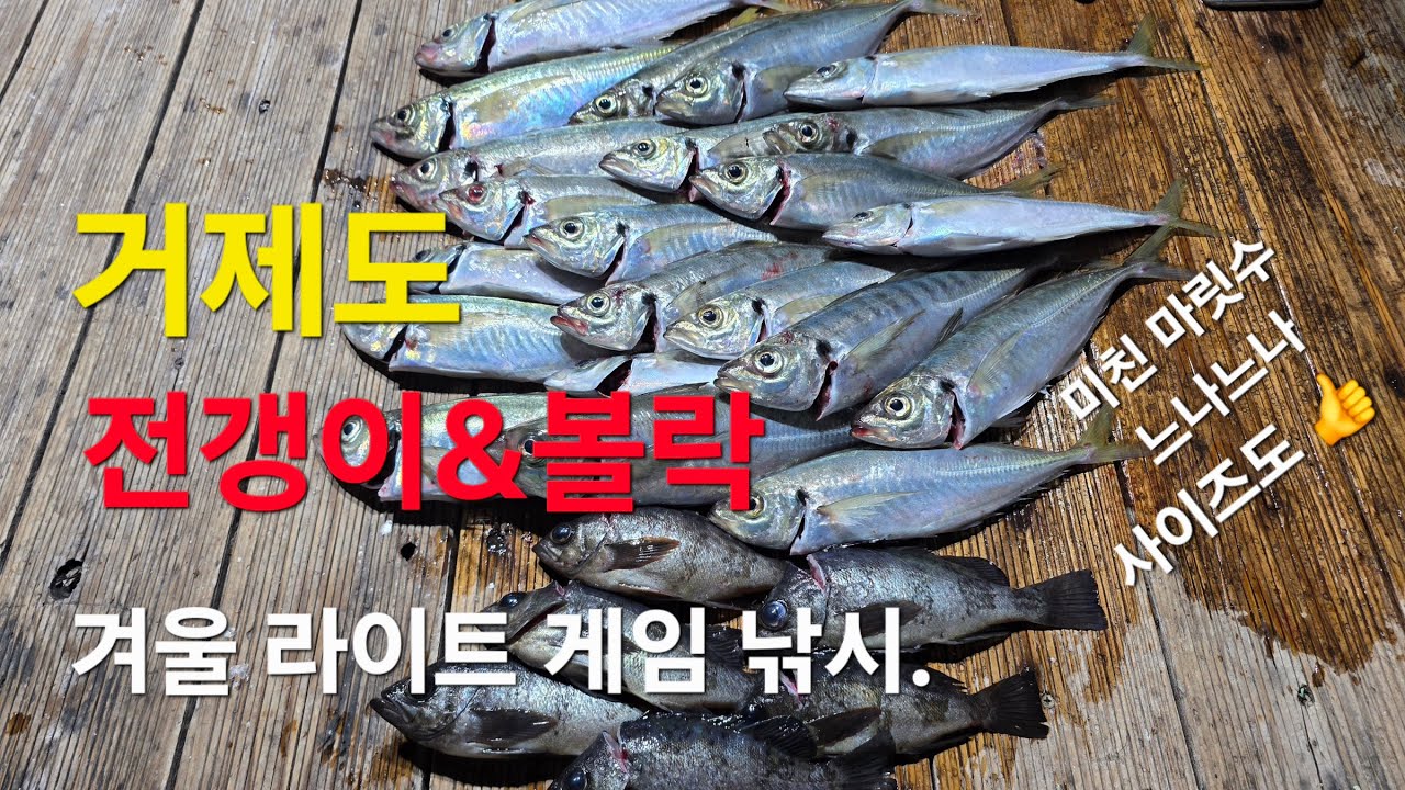 거제도 선상 전갱이&볼락 낚시2화.