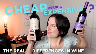 Cheap vs Expensive Wine  What You're Missing