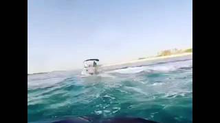 JETSKI RENTAL DUBAI BY SHARKS !