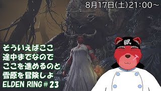【配信】ELDEN RING＃２３　ソウルライク系初心者が行くELDEN RING、前回無事DLCに行けたけどまだまだ瞬殺されるから本編を進めていくニャ（ネタバレ厳禁）