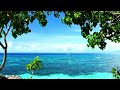 医学博士監修の音楽 / Sea〜海 | 癒しの音楽とやすらぎの映像でリラックスタイム【 癒し BGM】 海・波・免疫・睡眠・偏頭痛・梅雨・不安・不眠・イライラ・自律神経・ストレス