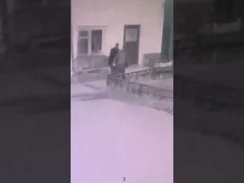 WhatsApp Video 2019 04 24 at 19 54 50