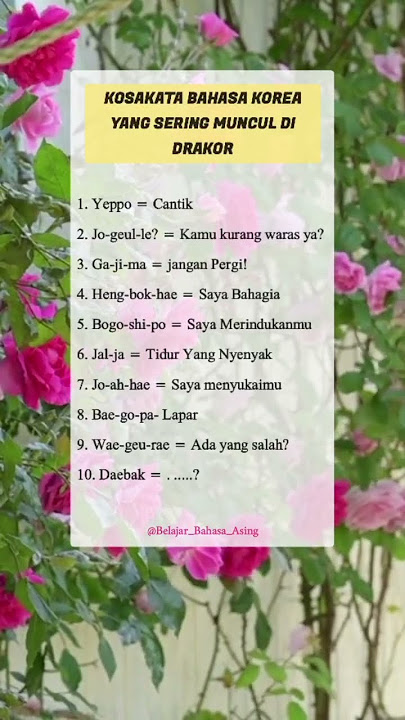 Kosakata Bahasa Korea Yang Sering Muncul Di Drakor #bahasakorea #bahasa #shorts