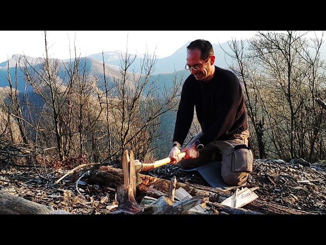 Bushcraft cutting some trees with Scandinavian Forest Axe