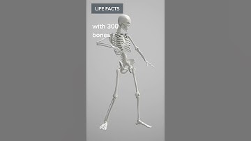 #013 Bones Through the Ages: How Our Skeletons Change Over a Lifetime