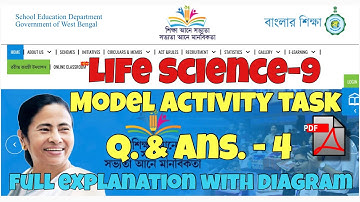 BANGLAR SHIKSHA CLASSROOM 9 MODEL ACTIVITY TASK QUESTION AND ANSWER-4