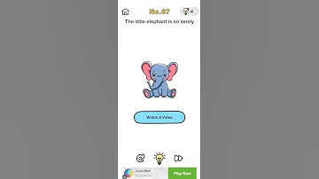 Brain 🧠 out Game 🎮 level 67=The little elephant 🐘 is so lonely. solution